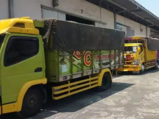 12.-Cara-Memilih-Jasa-Sewa-Truk-Colt-untuk-Ekspedisi-Terbaik