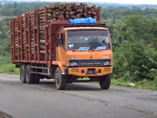 perusahaan jasa sewa truk Fuso